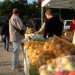 Vue du stand de pomme de terre